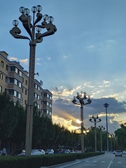 1000035793
