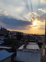 1000035877