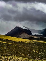 1000006105