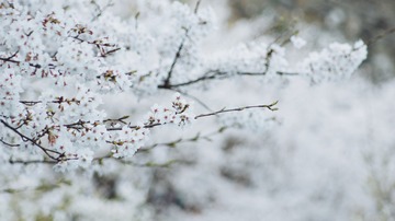 57607F32-5D53-4552-8626-F6CBE9CA0151/L0/001
