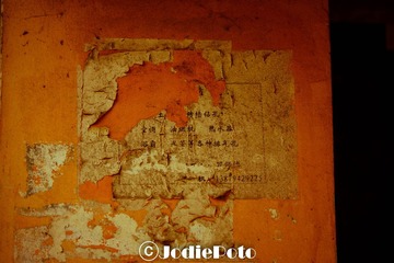IMG_0337.jpg