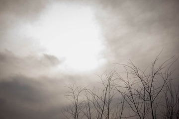 IMG_0469.jpg