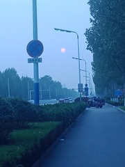 2930372