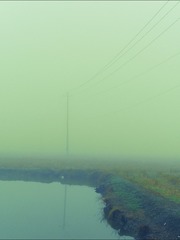 1000097765