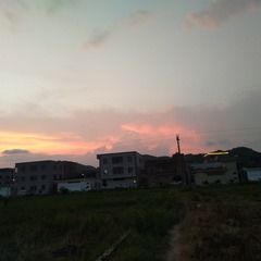 963329
