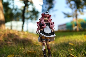 DSC08034g.jpg