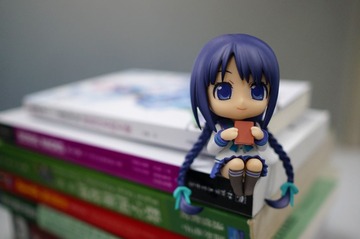 DSC09059g.jpg
