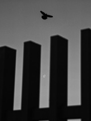 001