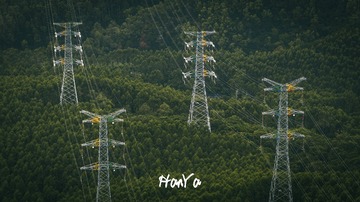 DJI_20230819073914_0206_D-已增强-NR 拷贝 2