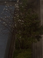 1000001173