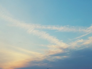3580631