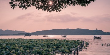 西湖随拍20190528004