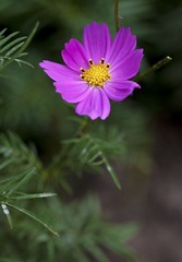IMG_4222.jpg