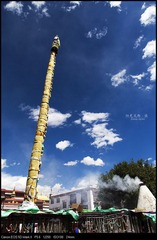 IMG_3989.jpg