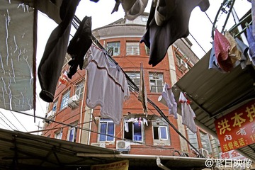 IMG_3246.jpg