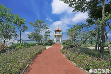 IMG_8685.jpg