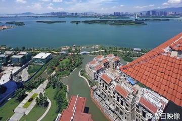 IMG_8737.jpg