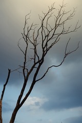 001