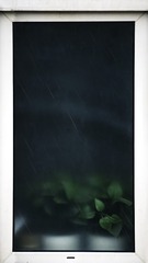 1000060503