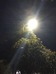 1000012508