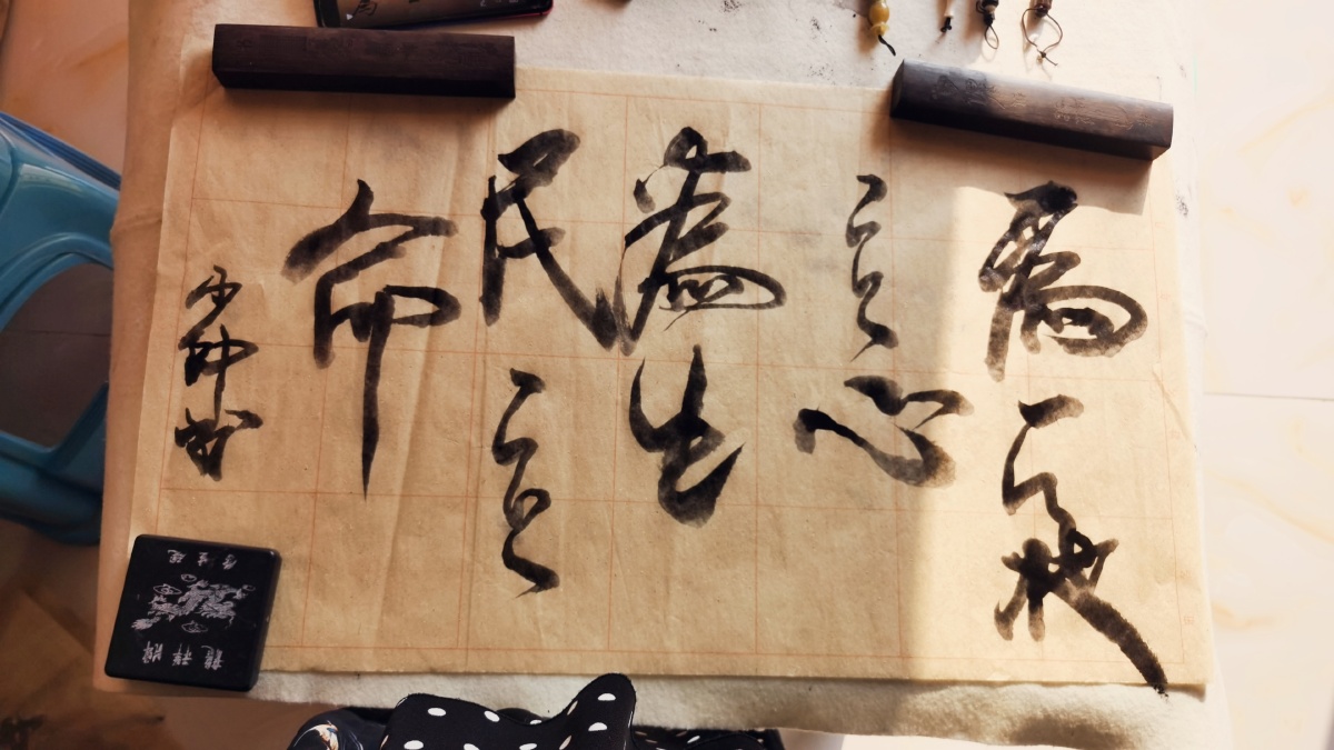 为天地立心,为生民立命!