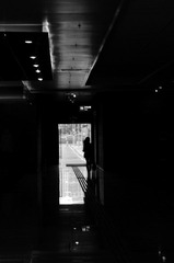 DSC_0337.jpg