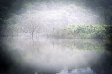 20130421-DSC_0384.jpg