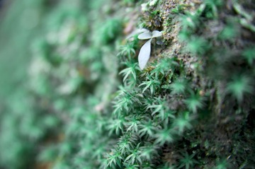 DSC_8619.jpg