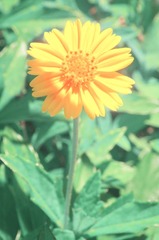 DSC_0134fu.jpg