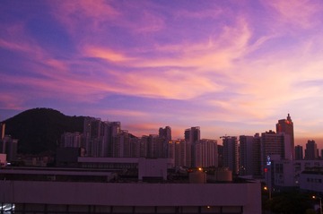 DSC_0446副本.jpg