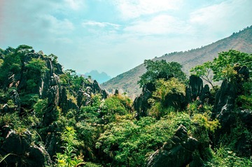 未命名-8651