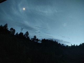 1000032675