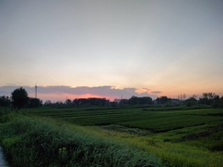 1000028389