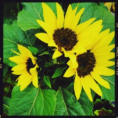 9746A016-C6B6-4873-A87D-2469CF405BF8/L0/001