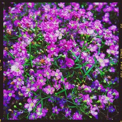 322EC356-44C3-4787-8E3E-22AF16CF9AE6/L0/001