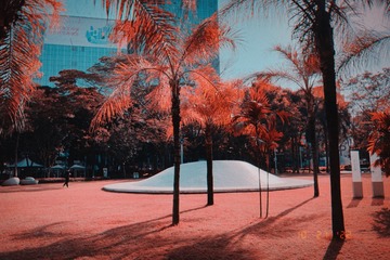 A4A0E8C2-9FBE-4E91-BF7C-947B80AA3467/L0/001