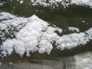 IMG_0180.JPG