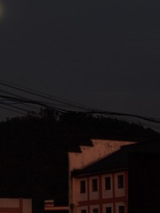 1000054291