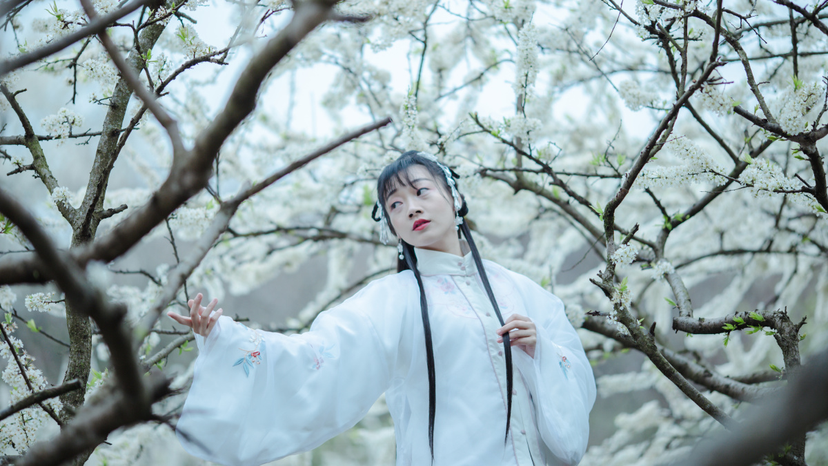 梨花树下 - 翟堂旺 - 图虫