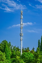1000159784