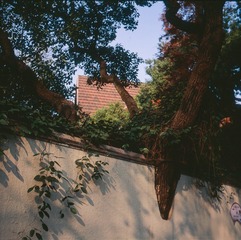 Untitled-7