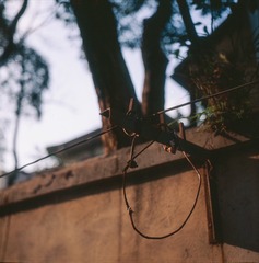 Untitled-11