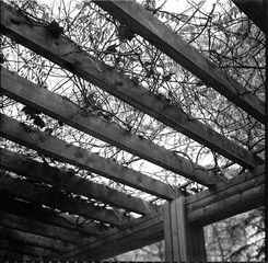 Untitled-21