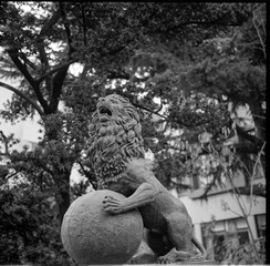Untitled-23