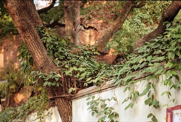 Untitled-22