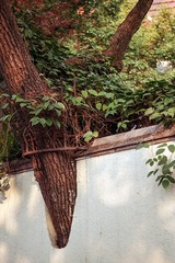 Untitled-30