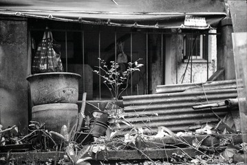 Untitled-16
