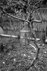 Untitled-17