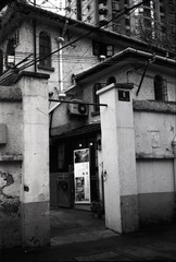 Untitled-19