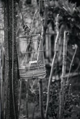 Untitled-20
